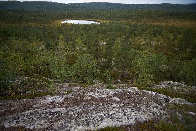 Foresta del nord bellissima natura incredibile