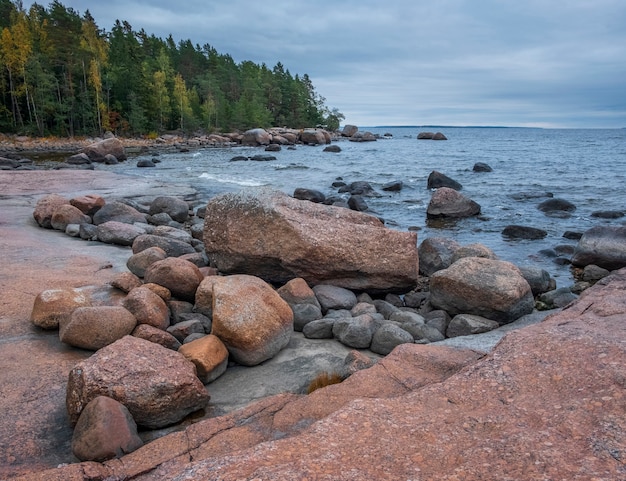 Northern landscape in autumn, Kivipark nature reserve in the Vyborg district of the Leningrad region. Gulf of Finland of the Baltic Sea with huge boulders near the forest.