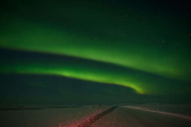 northern light on the silent field before sun rise.