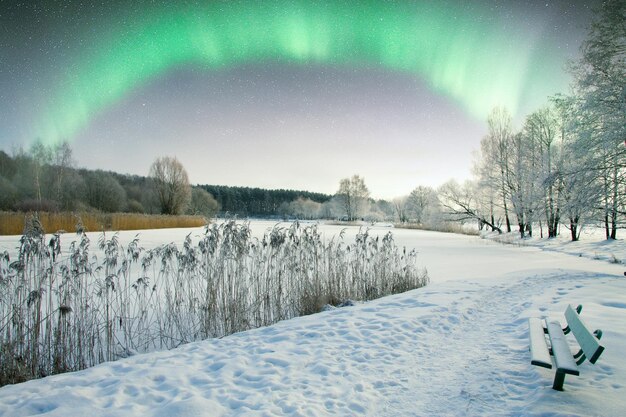 Northern Lights