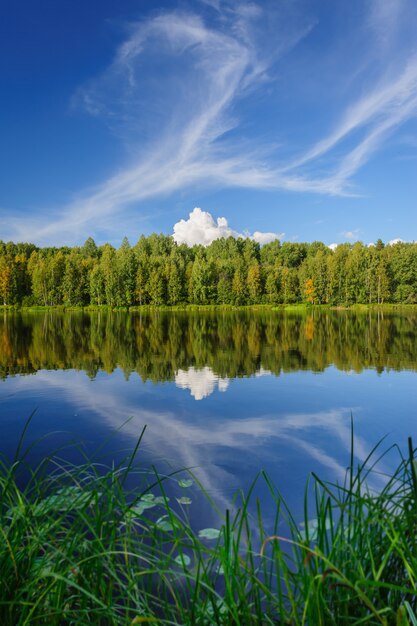 Photo northern river and woods