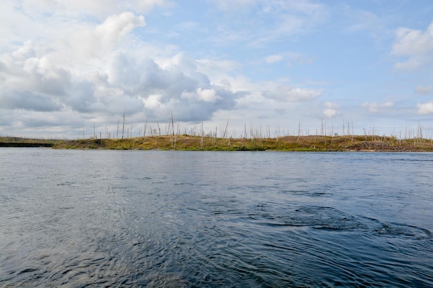 Northern Summer river landscape