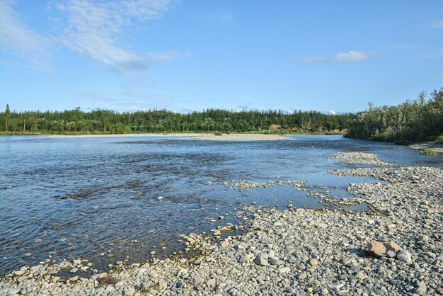 Northern taiga river