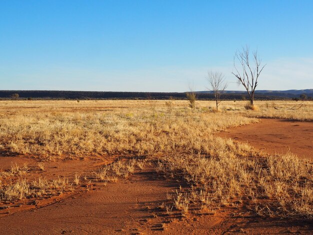 Northern territory australia