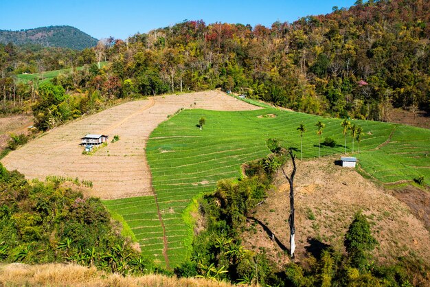 タイ北部