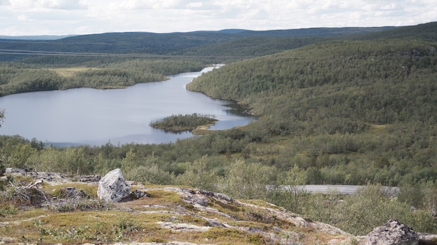 Foto colline della foresta della tundra settentrionale nella penisola di kola.