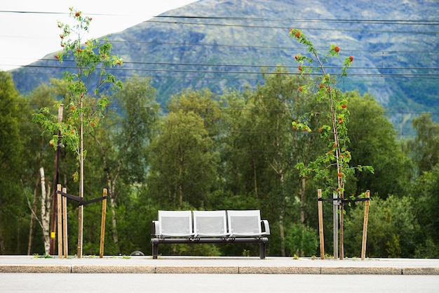 Norway city bus bench transport background hd