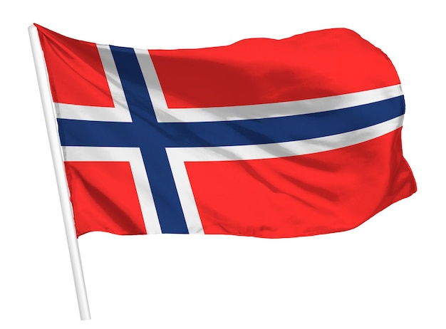 ノルウェーの国旗 (png) を振り回す国旗