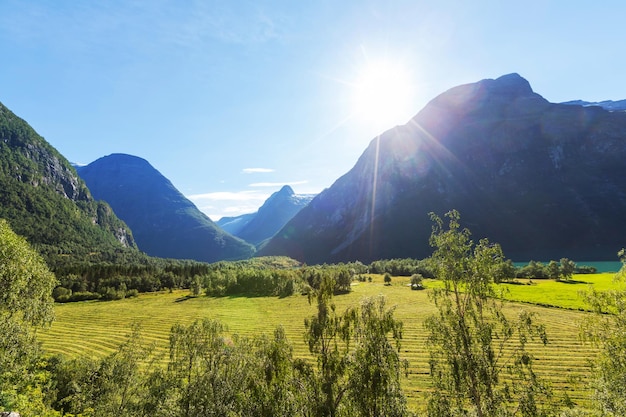 ノルウェーの風景