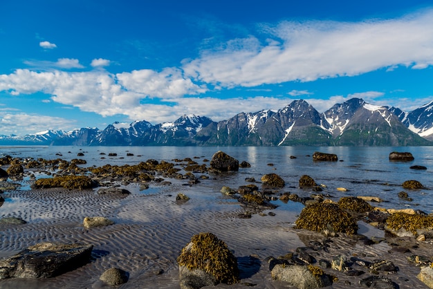 ノルウェー海沿岸のノルウェーの石