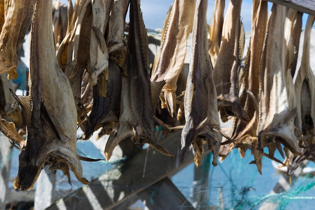 Norwegian dried fish on dryer background hd