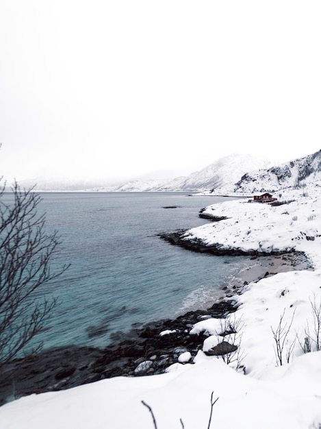 Foto fiordo norvegese con il mare