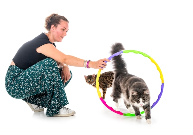 Norwegian Forest cat and woman