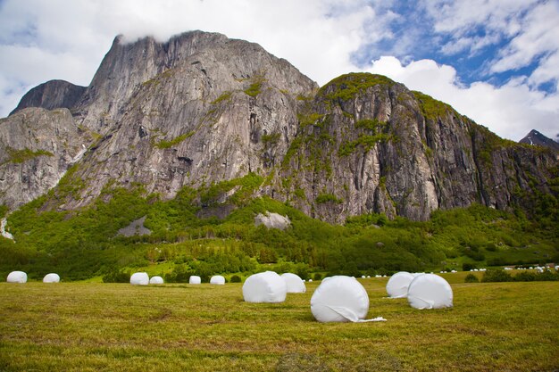 エイクスダーレン近くのノルウェーの山の風景