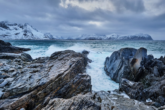 Фото Волны норвежского моря на скалистом побережье лофотенских островов, норвегия