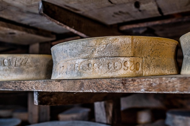 Nostrano cheese from the Orobian Alps being ripened