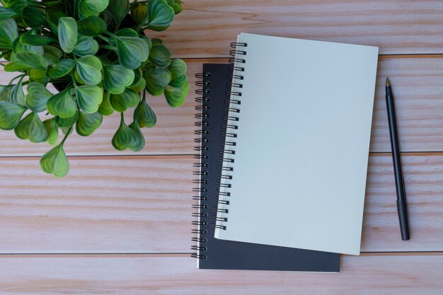 Note book and potted plant on wooden table space for text flat lay top view