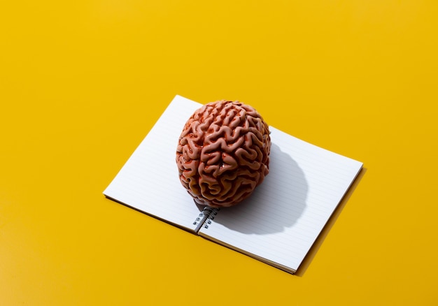 Notebook and brain on yellow surface