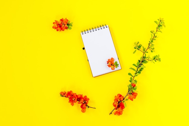 노란색 배경에 빨간색 Chaenomeles japonica 또는 마르멜로 꽃이 있는 노트북 페이지, 위쪽 보기, 평평한 평지, 흉내냅니다.