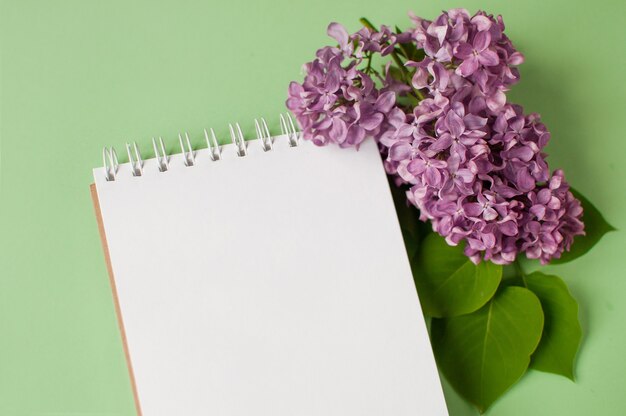 Notebook on a spring on a green background with a purple lilac branch