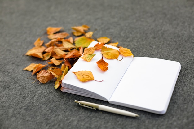 Notebook with autumn leaves 