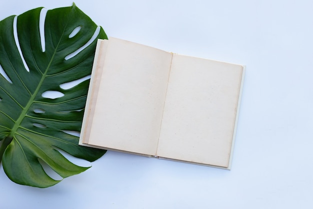 Notebook with green leaves on white