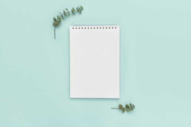 Notepad, sprigs of eucalyptus, on a pastel turquoise. 