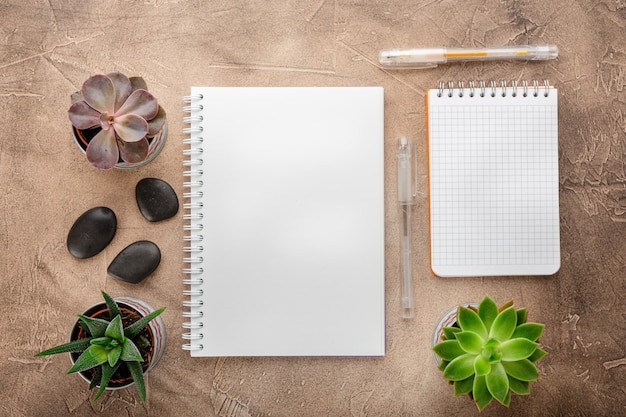 Notepad and succulents on the table Top view