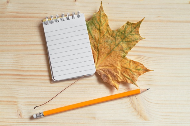 Notepad with a pencil and autumn leaves on a light wooden background top view