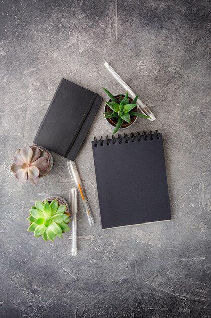 Notepads and potted succulents