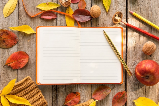 Notes in a notebook on a beautiful autumn morning