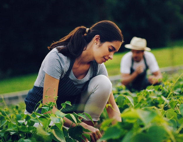 Nothing grows a garden like hard work Shot of a young woman working in a garden with her husband in the background