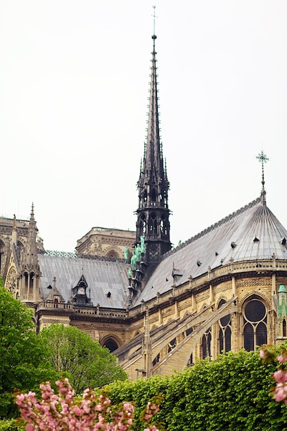Notre Dame de Paris Cathedral garden with flowers