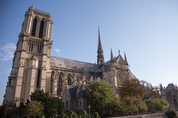 Notre Dame de Paris Cathedral.Parijs. Frankrijk