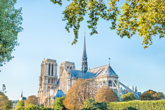 Notre Dame de Paris - famous cathedral with blue sky before fire April 15, 2019