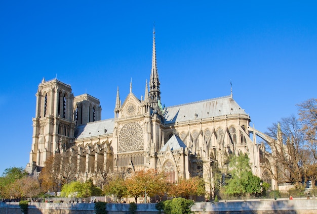 Notre Dame kathedraal kerk, zijaanzicht, Paris, Frankrijk