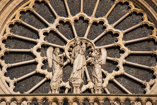 Notre dame paris statues and gargoyles