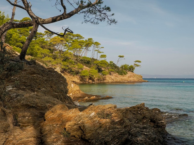 notre dame strand in porquerolles eiland frankrijk panorama landschap