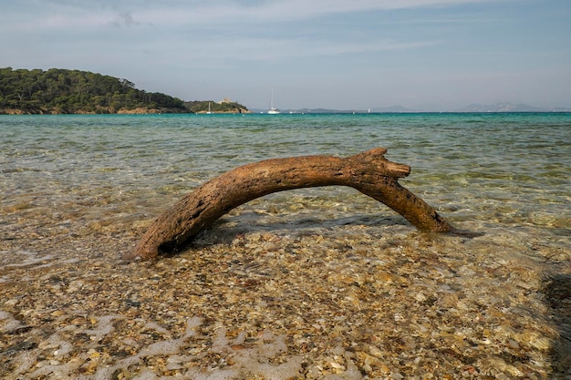 Foto notre dame strand in porquerolles eiland frankrijk panorama landschap