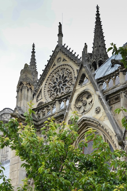 NotreDame Cathedral in Paris