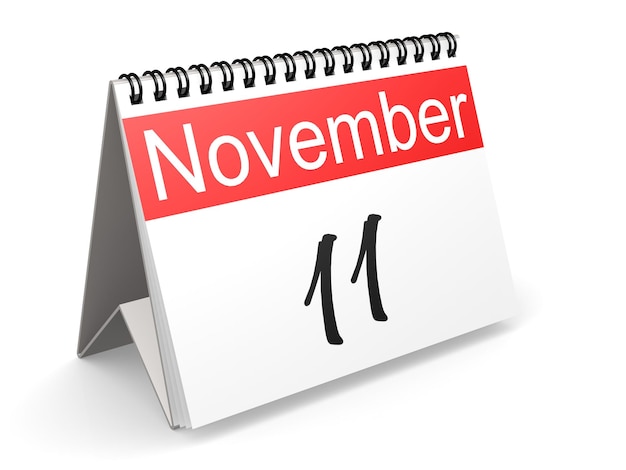 November 11 on calendar