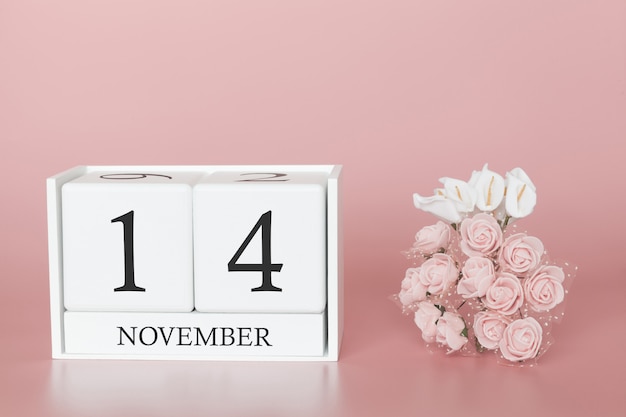 November 14th calendar cube on pink wall