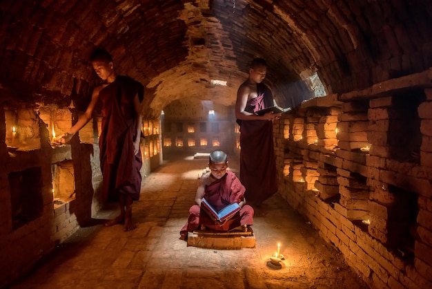 Novice monk reading book