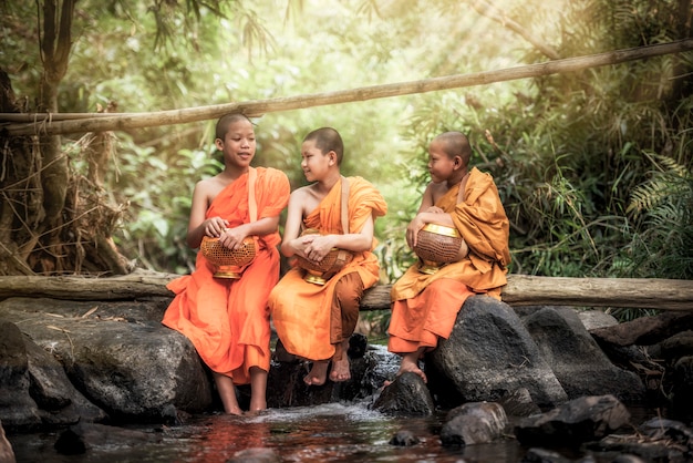 Novice Monk in Thailand