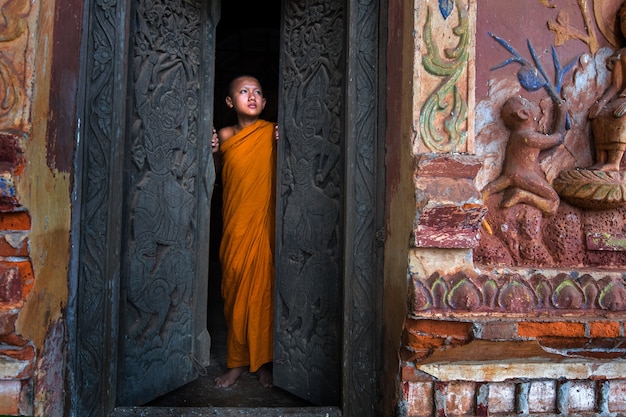 Novice monk 