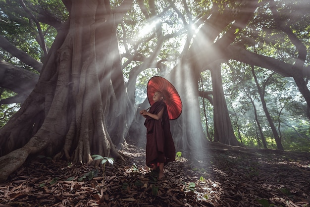 Novice Monks in Myanmar