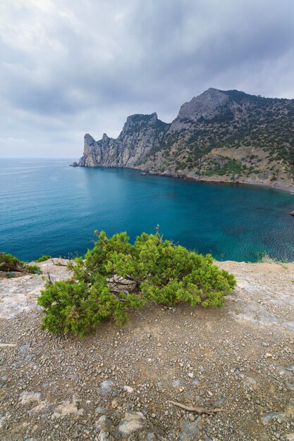 Дневной треккинг в Новый Свет в Крыму / красота природы при дневном свете