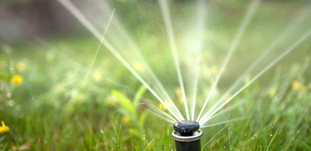 Nozzle automatic lawn watering macro close up