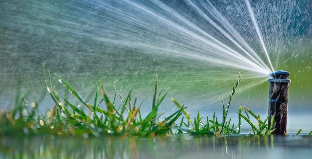 Nozzle automatic lawn watering macro close up