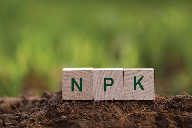 NPK letters on wooden blocks with soil NNitrogen PPhosphorus KPotassium
